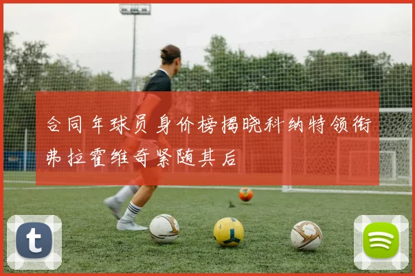 合同年球员身价榜揭晓科纳特领衔弗拉霍维奇紧随其后
