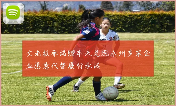 女老板承诺赠车未兑现永州多家企业愿意代替履行承诺