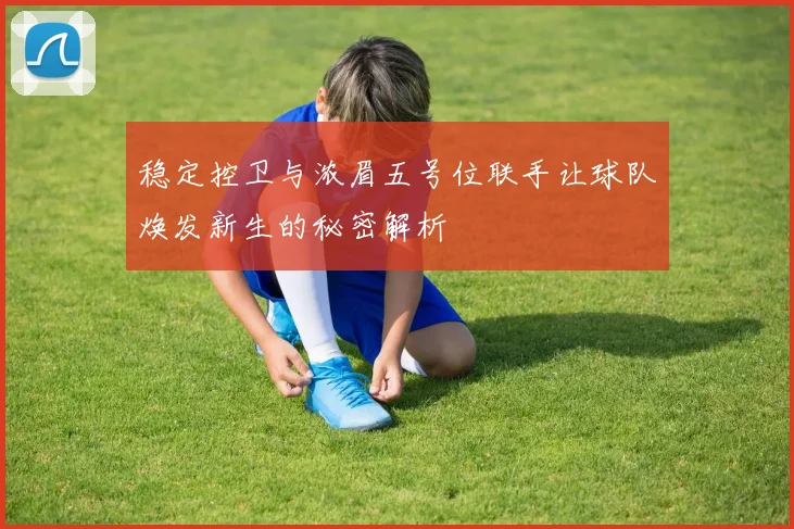 稳定控卫与浓眉五号位联手让球队焕发新生的秘密解析