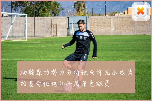 杨瀚森的潜力分析他或许无法成为约基奇但绝非平庸角色球员